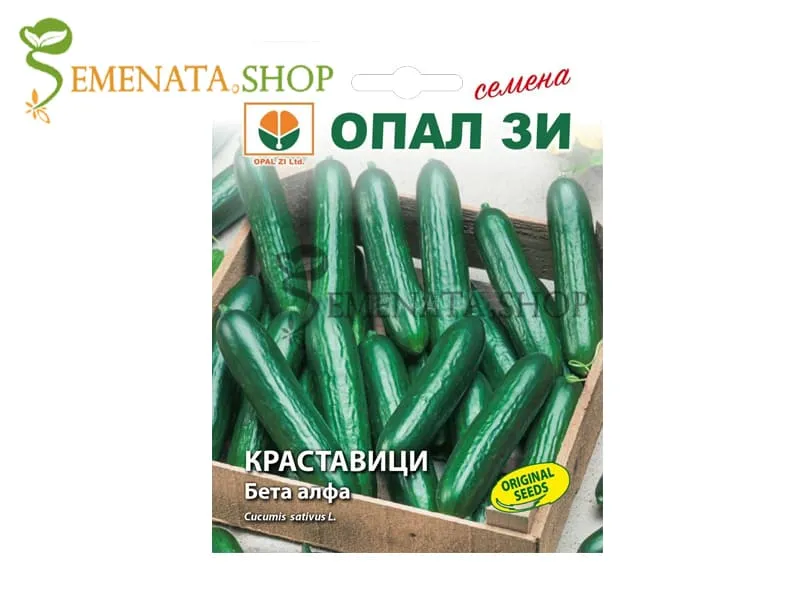 Семена на краставица къса Бета Алфа - превъзходен вкус и аромат
