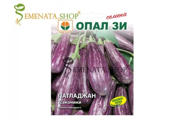 Семена на шарен патладжан Тсаконики от Опал Зи