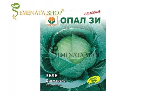 Семена на ранно зеле Дитмарско от Опал Зи