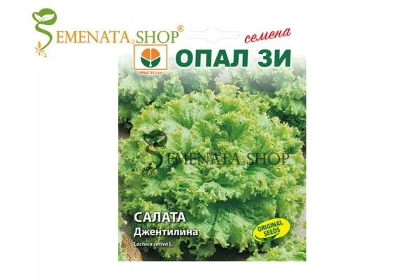 Семена на къдрава салата Джентилина от Опал Зи