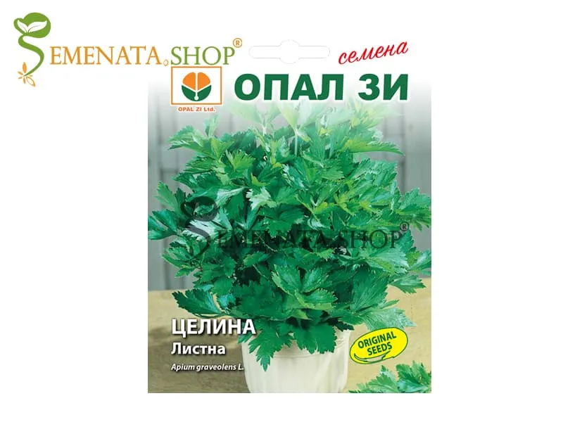 Семена на Листна целина (Кервиз) от Опал Зи