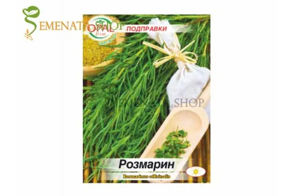 Семена от Розмарин (Rosmarinus officinalis)