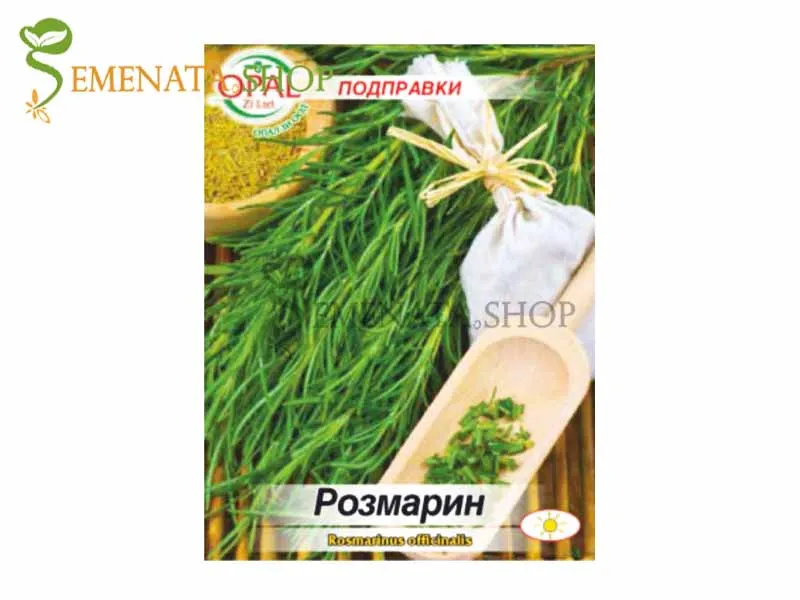 Семена от Розмарин (Rosmarinus officinalis)
