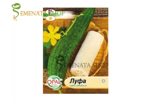 Семена на Луфа - Luffa cylindrica - едногодишно растение с дължина до 200 см
