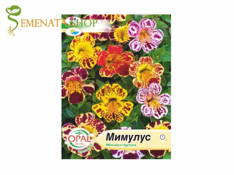 Семена на Мимулус (Клоунско цвете) - Mimulus tigrinus