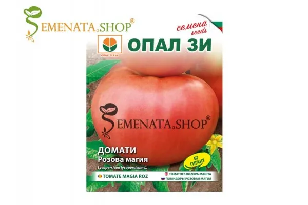 Български семена на едри сортове домати Розова Магия