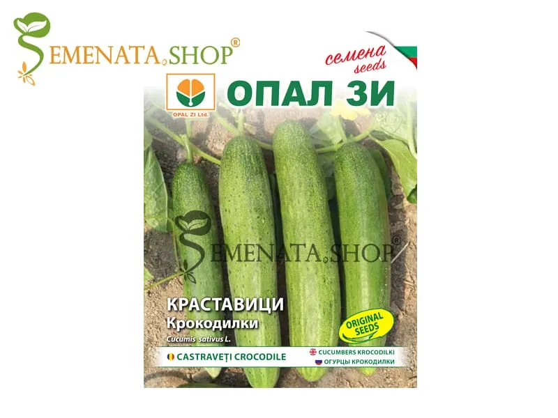 Семена на Краставици Крокодилкa - чудни за салата