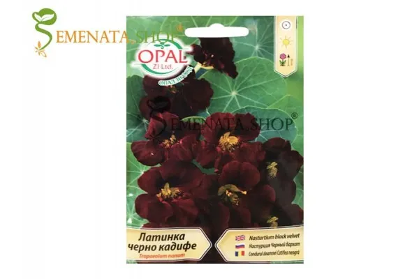 Семена на Латинка Черно Кадифе - Tropaeolum nanum