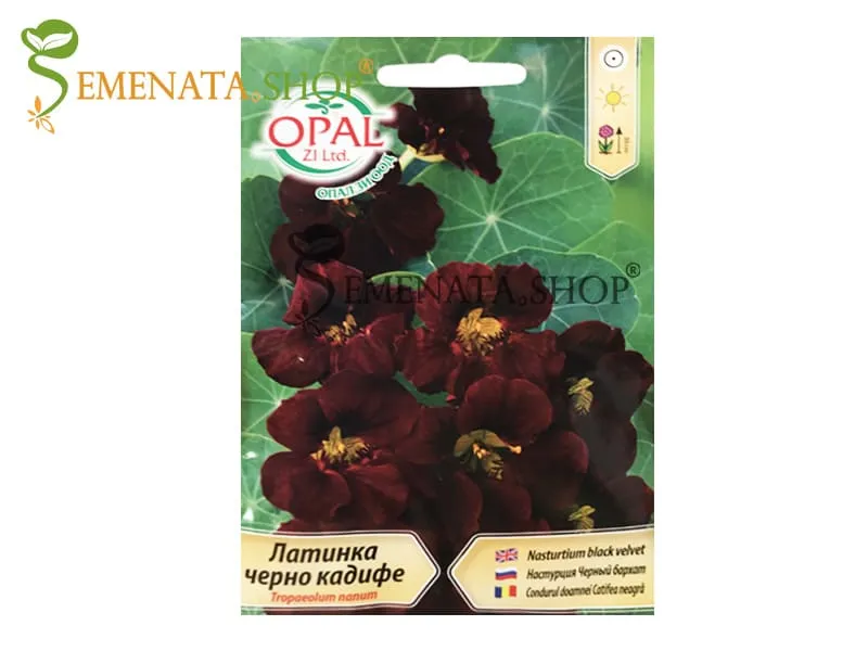 Семена на Латинка Черно Кадифе - Tropaeolum nanum