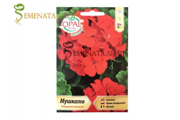 Семена на Червено Мушкато - Pelargonium x hortorum от Опал Зи