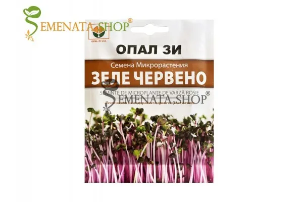 Семена за микрорастения от червено зеле представени от Севън Сийдс