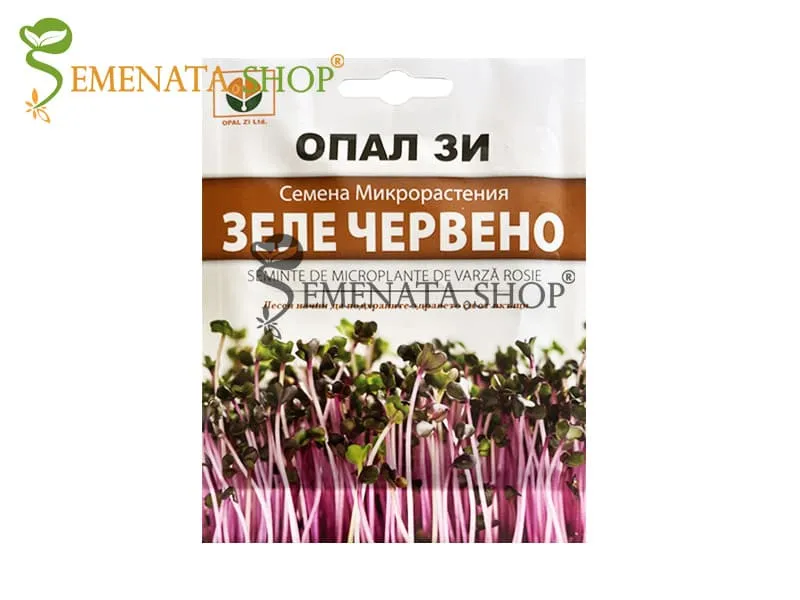Семена за микрорастения от червено зеле представени от Севън Сийдс