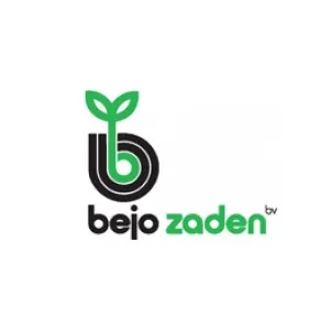 Bejo Zaden