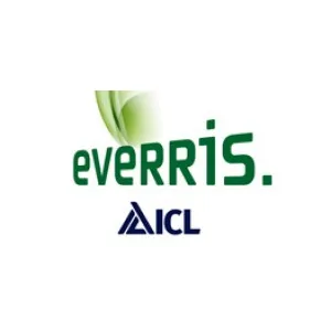 Еверист и ICL