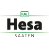 Hesa (Хеса) тревни смески