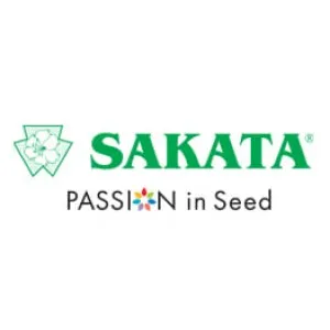 Sakata (Саката) Япония