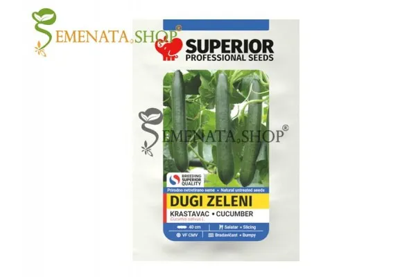Семена на вкусни сръбски краставици дълги – Чайна лонг (Dugi zeleni, Дълга Китайска)