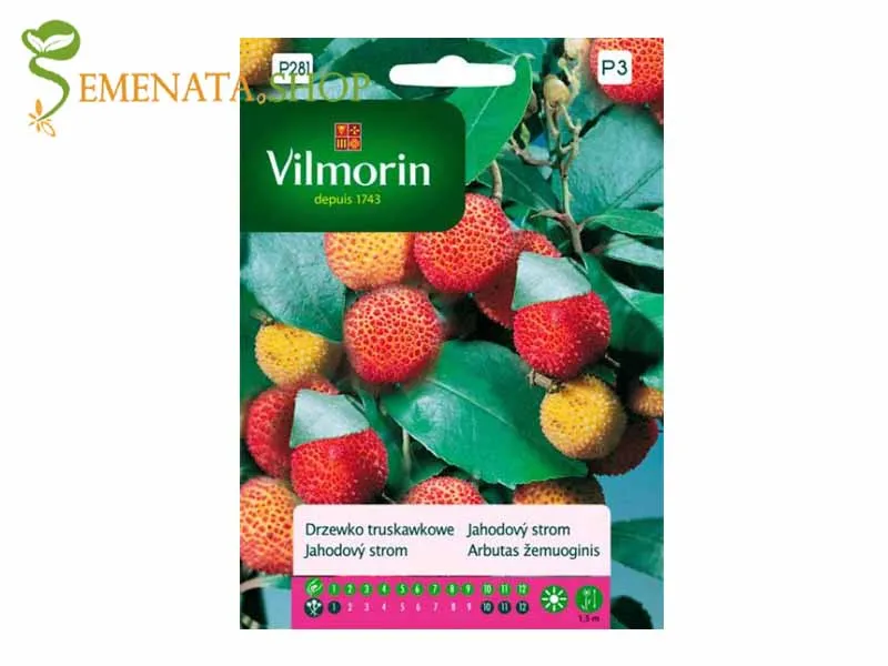 Семена на Ягодово дърво (кумарка, арбутус) - Arbutus unedo екзотичен плод с приятен вкус