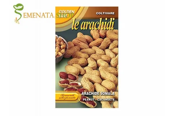 Италиански семена на фъстъци от Франчи (Franchi) - сорт с отличен вкус и добиви