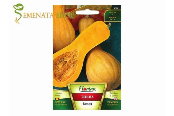 Семена на тикви Цигулки (виоли) оребрени с приятен аромат и сладък вкус