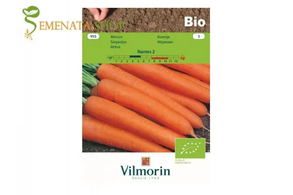 Био семена на моркови Нантес 2 от Вилморин - вкусен сорт с висок добив и едър кореноплод