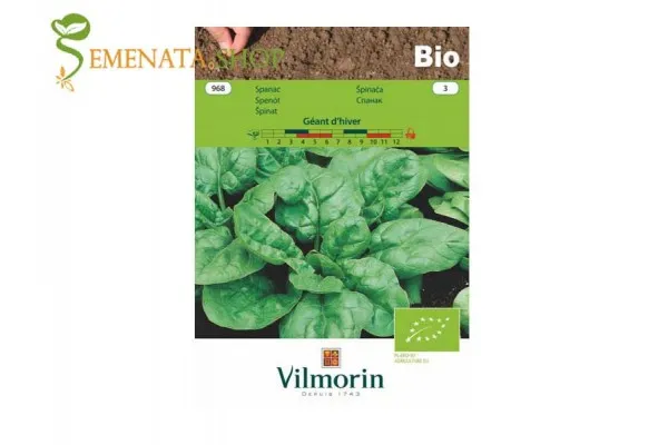 БИО спанак семена на вкусен есенен и пролетен сорт Geant d'hiver (Winterreuzen)