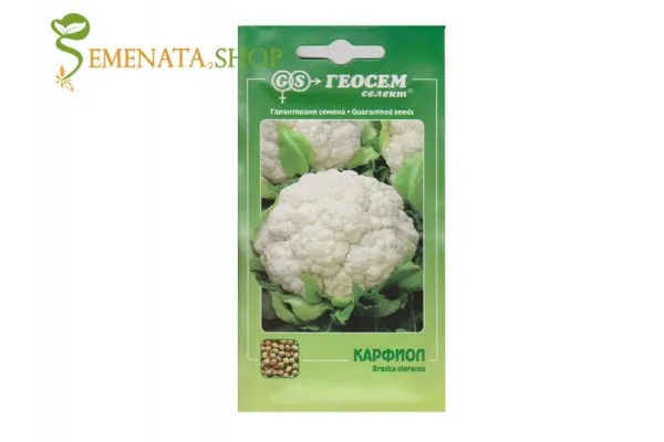 Семена на карфиол от популярния сорт Снежна топка (Snowball, Сноубол)