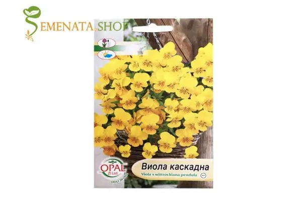 Семена на жълта каскадна Виола (теменужка)