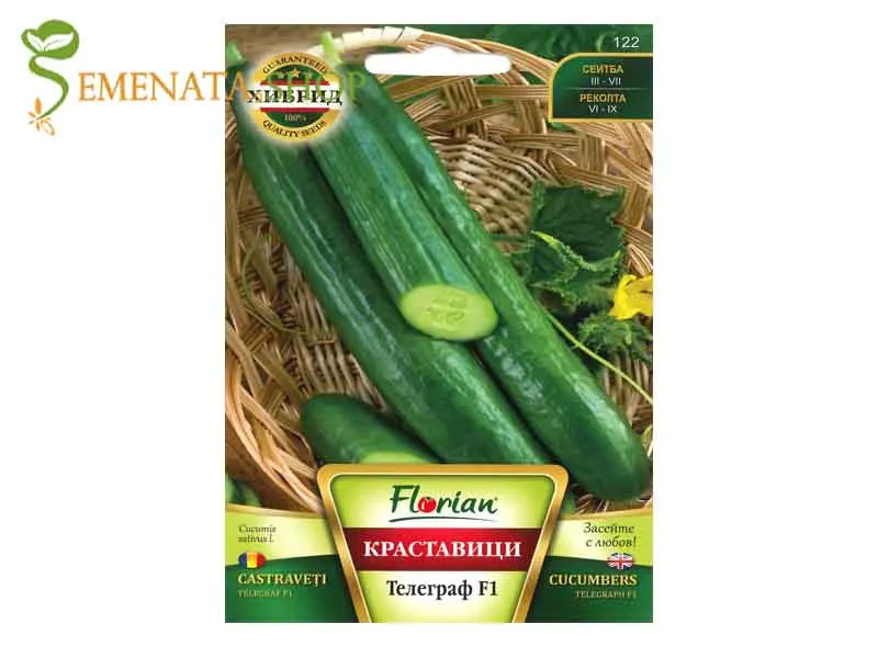 Семена на дългоплодна краставица Телеграф F1 - дълга и много вкусна