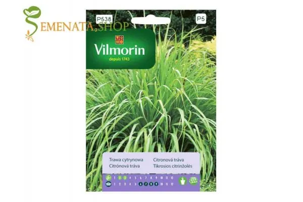 Семена на Лимонова трева (Cymbopogon flexuosus) известна като Цимбопогон