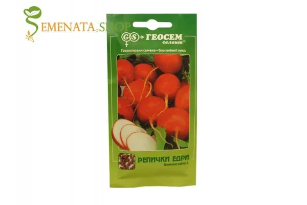 Семена на едри репички червени - хрупкави с много плътен вкус