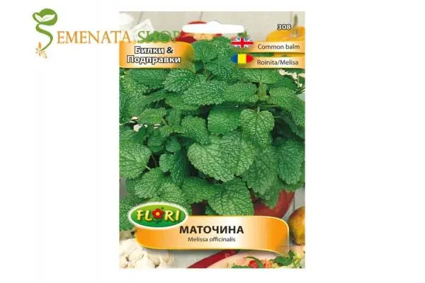 Семена на Маточина - Melissa officinalis с аромат на лимон и уникален здравословен ефект
