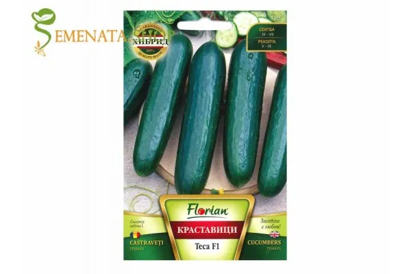 Семена на късоплодна краставица Теса F1 (Тесса F1) - сорт перфектен вкус и високи добиви